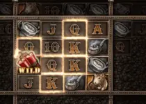 Play  Online Slot